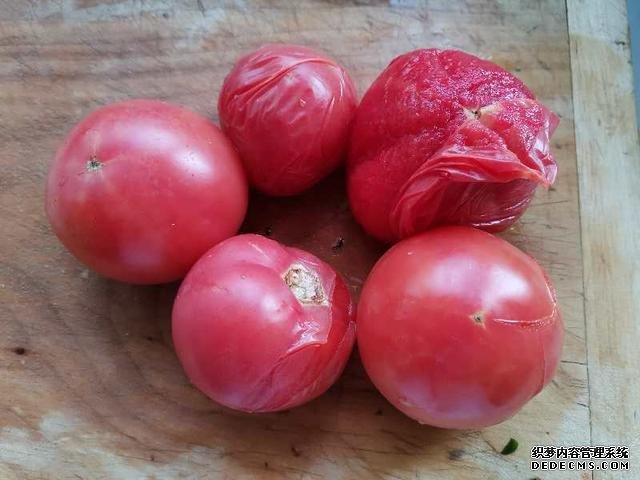 西红柿鸡蛋、韭菜鸡蛋、黄瓜鸡蛋、茄子青椒木耳、冬瓜馅饺子做法