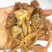 西藏缘行业招商运营资源的专业平台