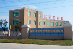 引领中国米面生产防腐安全的“中国米宝宝” 让